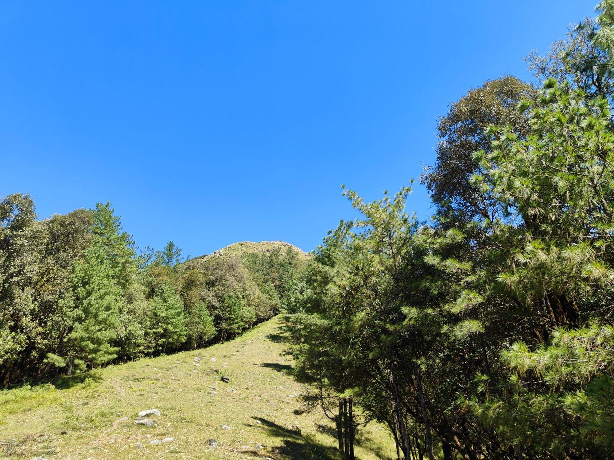 Himwanderer Camps & Cottages Pangot Nainital Exterior foto