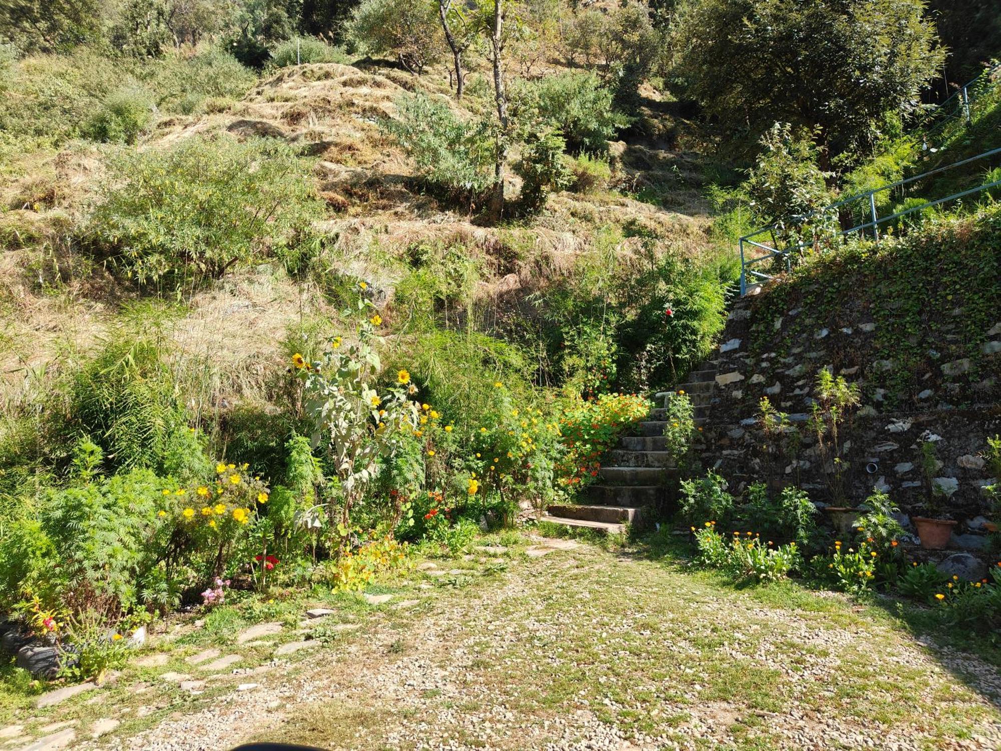 Himwanderer Camps & Cottages Pangot Nainital Exterior foto