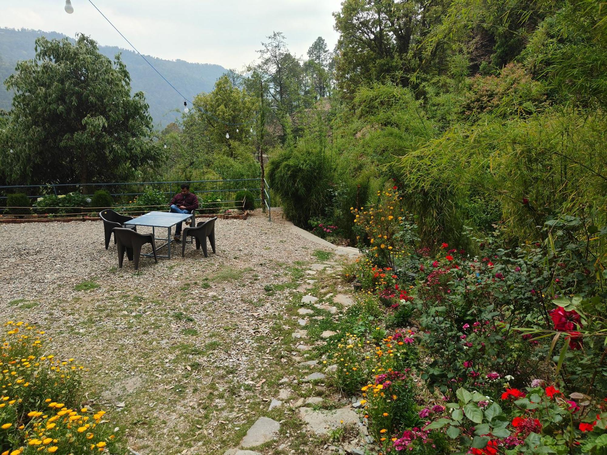 Himwanderer Camps & Cottages Pangot Nainital Exterior foto