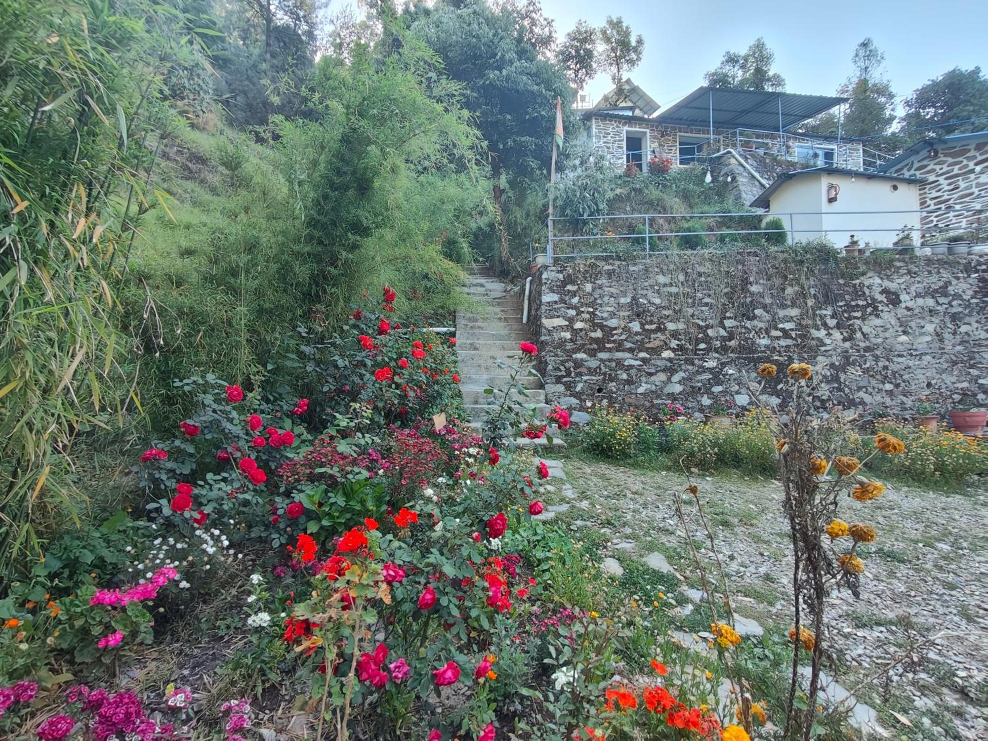 Himwanderer Camps & Cottages Pangot Nainital Exterior foto